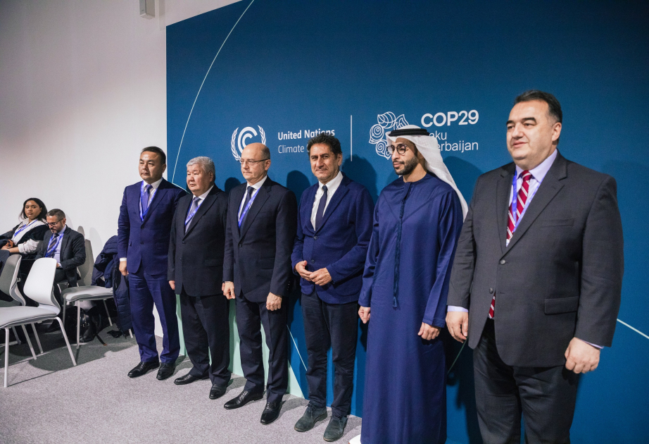 IRENA and Azerbaijan’s Ministry of Energy formally launch Accelerated Partnership for Renewable Energy