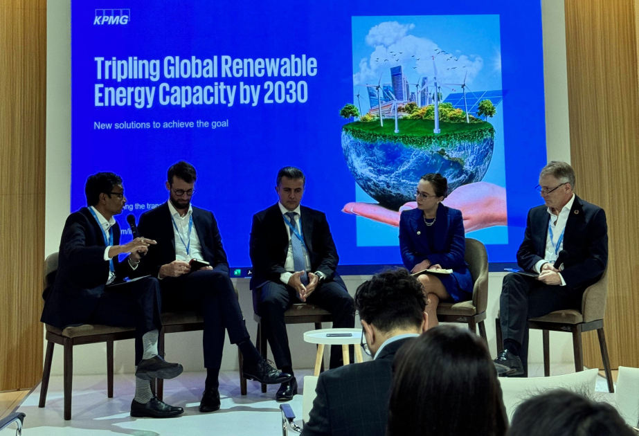 “2030-cu ilədək bərpaolunan enerji məqsədlərinə nail olmaq” mövzusunda tədbir keçirilib