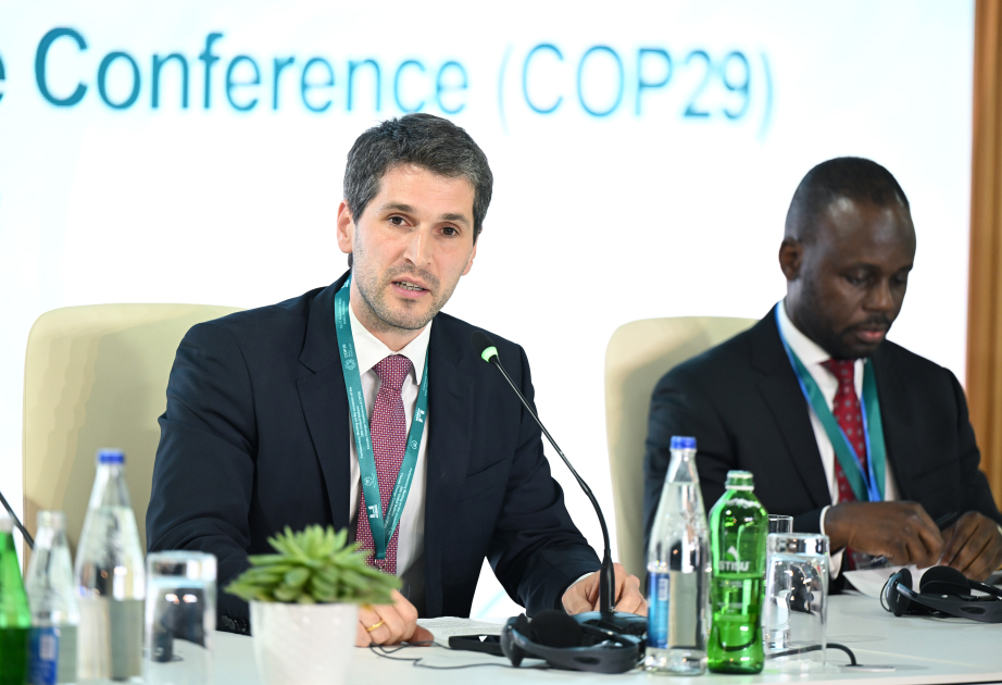Avstriya Milli Şurasının üzvü: COP29-dakı təcrübələrimizdən müntəzəm olaraq faydalanmalıyıq