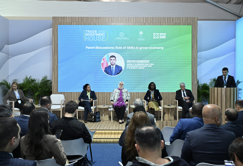 COP29 discusses Role of SMEs in Green Economy