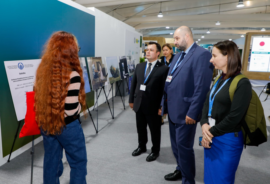 COP29 çərçivəsində Gilavar Foto Klubu Azərbaycanda mina qurbanlarına həsr olunan sərgi təşkil edib