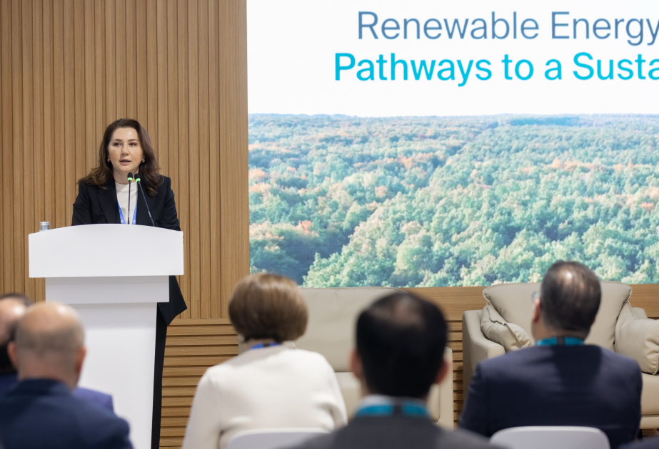 ®  "Azerbaijan Green Energy Company" MMC COP29-da bərpaolunan enerjiyə yatırımlar istiqamətində panel müzakirəsi təşkil edib