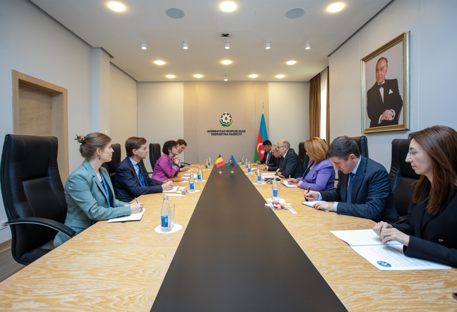 Azerbaijan’s Energy Minister holds discussions with his Belgian counterpart and Head of German Wind Energy Association