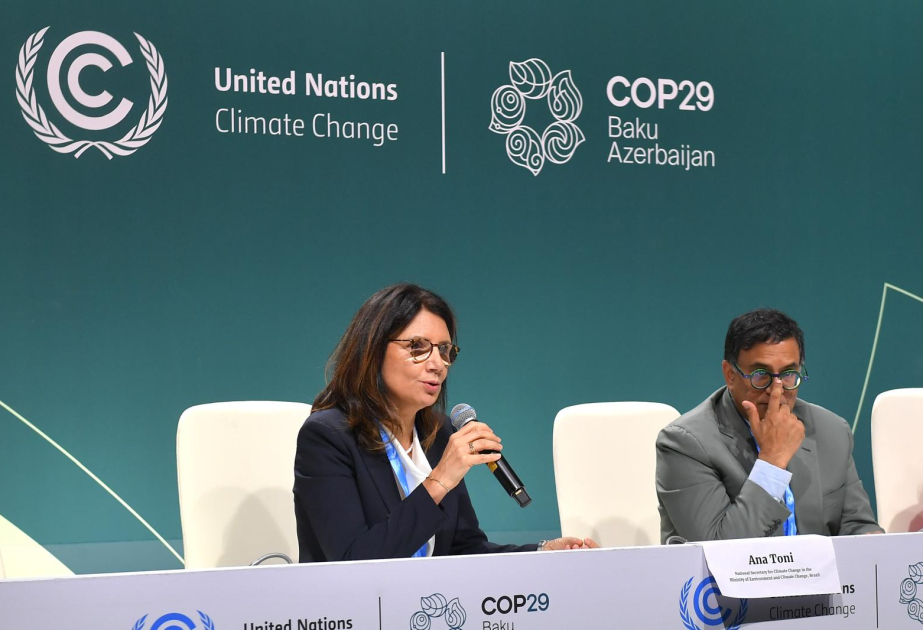 Braziliyanın iqlim dəyişikliyi üzrə katibi: COP30-un nailiyyəti COP29-un uğurundan asılıdır