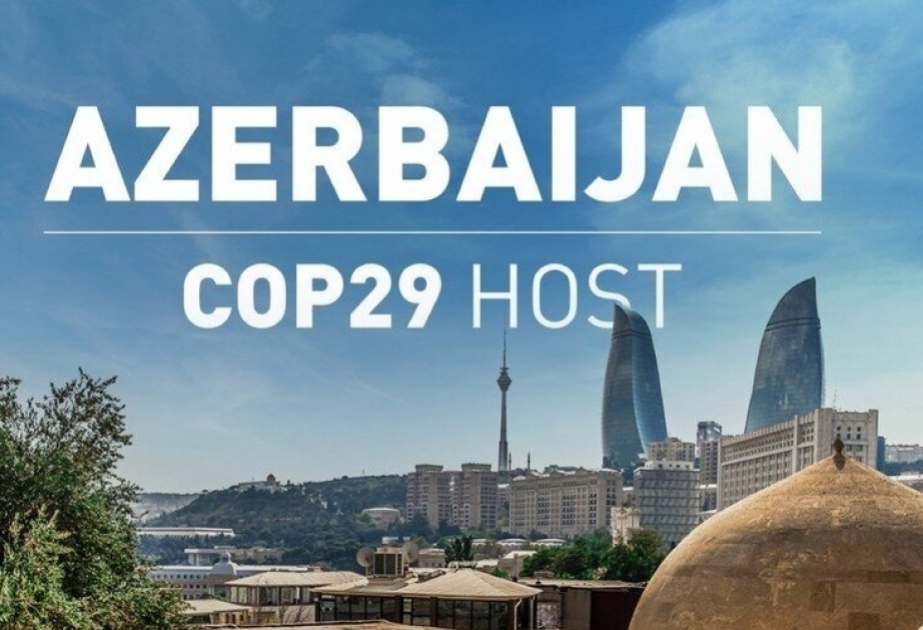 Carpets addressing sustainability challenges unveiled at COP29