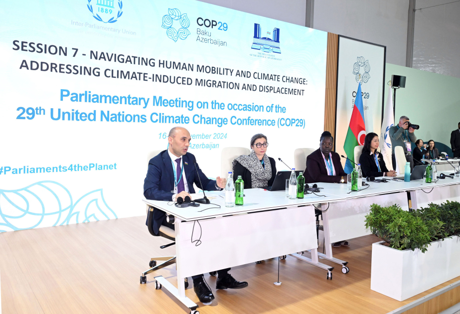 На COP29 рассмотрены пути решения проблем миграции и вынужденного переселения, вызванных изменением климата