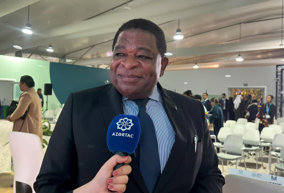 Martin Çunqonq: COP29-dan əldə olunan qərarları bütün dünyaya verilən güclü mesaj kimi görürəm