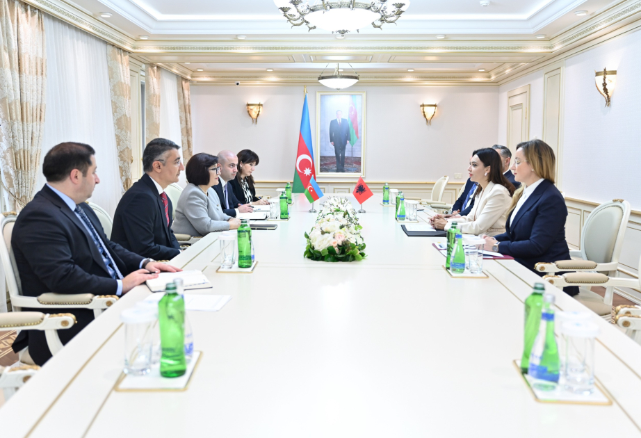 Azerbaijan and Albania discuss parliamentary cooperation