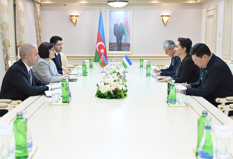Speaker of Azerbaijan’s Parliament meets with Uzbek counterpart