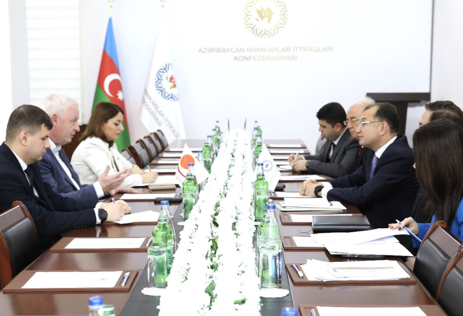 BHİK-nın baş katibi: COP29 iqlim dəyişmələrinin fəsadlarına qarşı mübarizədə faydalı olacaq