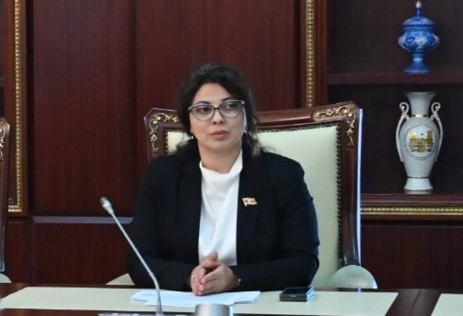 Fransanın törətdiyi cinayətlər bəzilərini narahat etməyib ŞƏRH