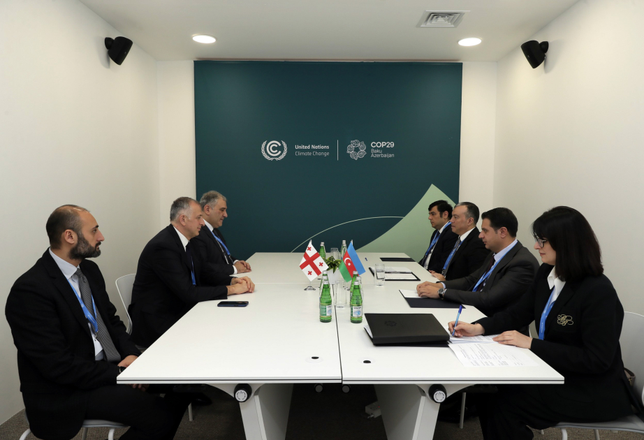 Azerbaijan, Georgia expand cooperation in labor and social protection