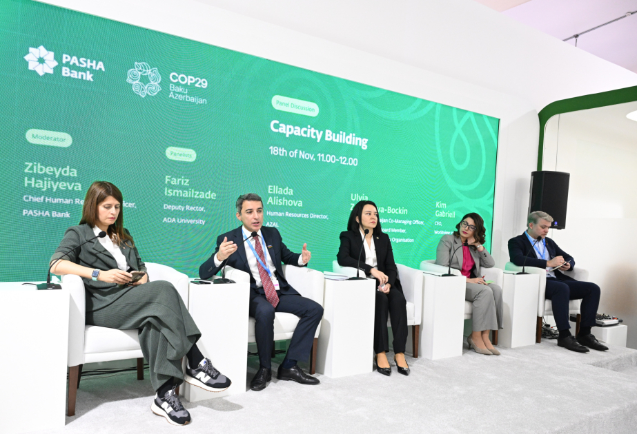 COP29 features discussion on capacity building