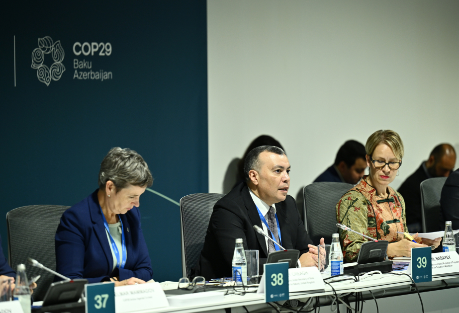 COP29: İnnovativ həllərin tətbiqi və yaşıl iş yerlərinin inkişafı ilə bağlı uğurlu təcrübələr müzakirə olunub VİDEO