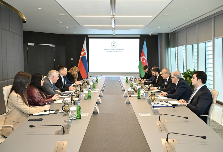 Slovakiyanın Baş nazirinin müavini və ətraf mühit naziri ilə görüş keçirilib