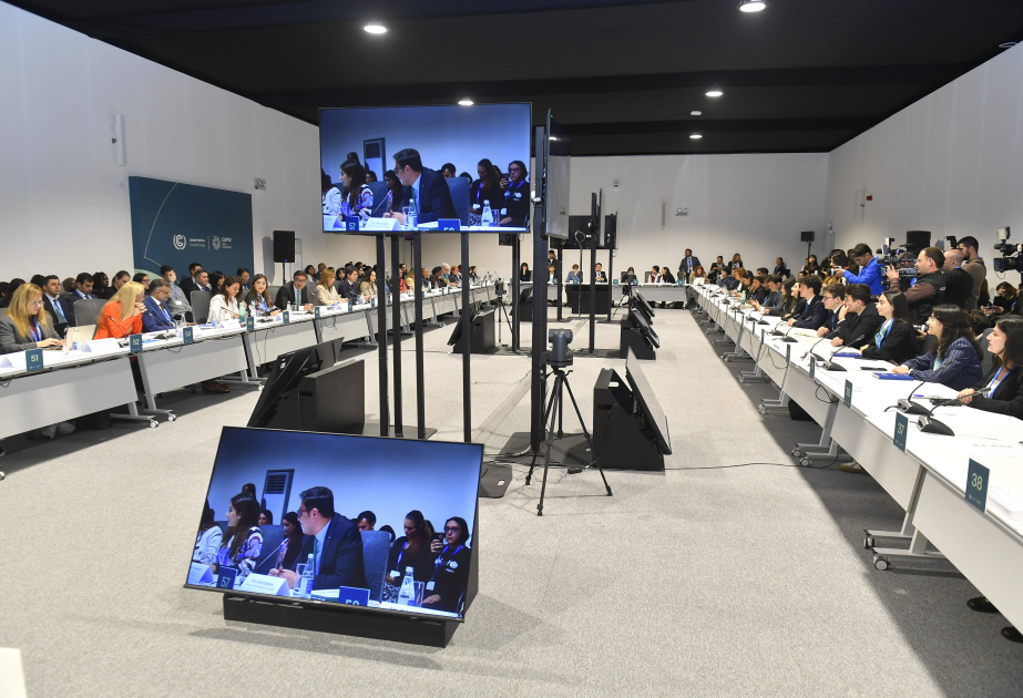 COP29: High-Level Roundtable on Children, Youth and Climate Action held
