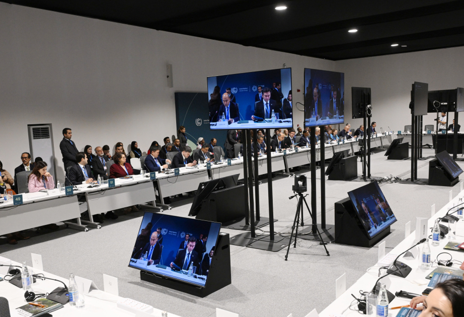 Topic of greening education and climate resilience discussed at COP29