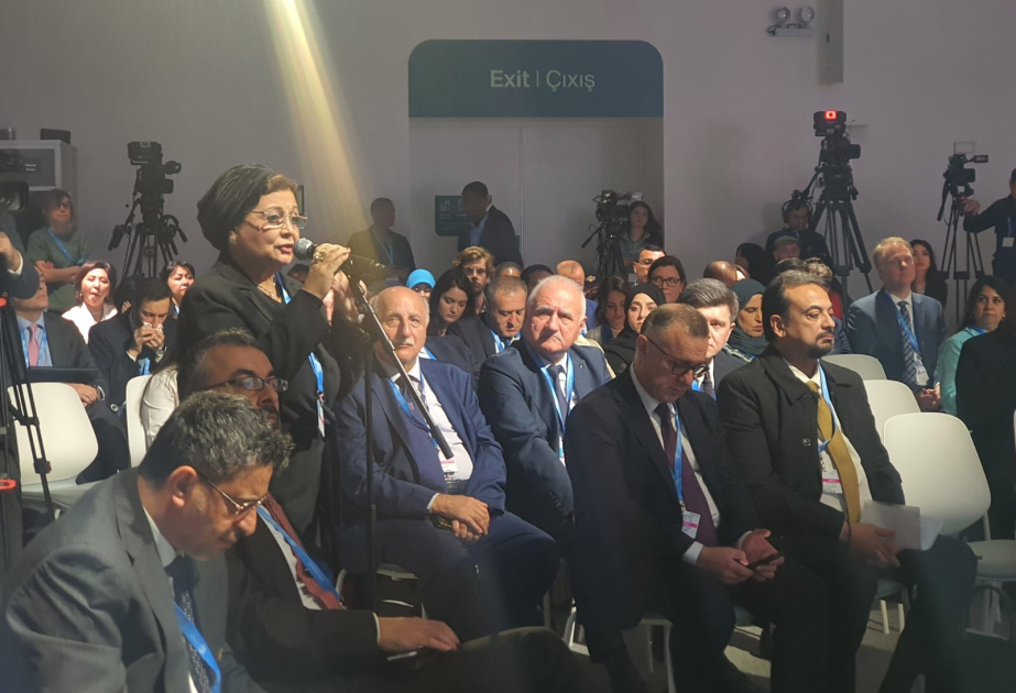 Misir nümayəndəsi: Sağlamlıq sistemlərinin yaxşılaşdırılması dövlətlərin gələcəyə birbaşa investisiyasıdır