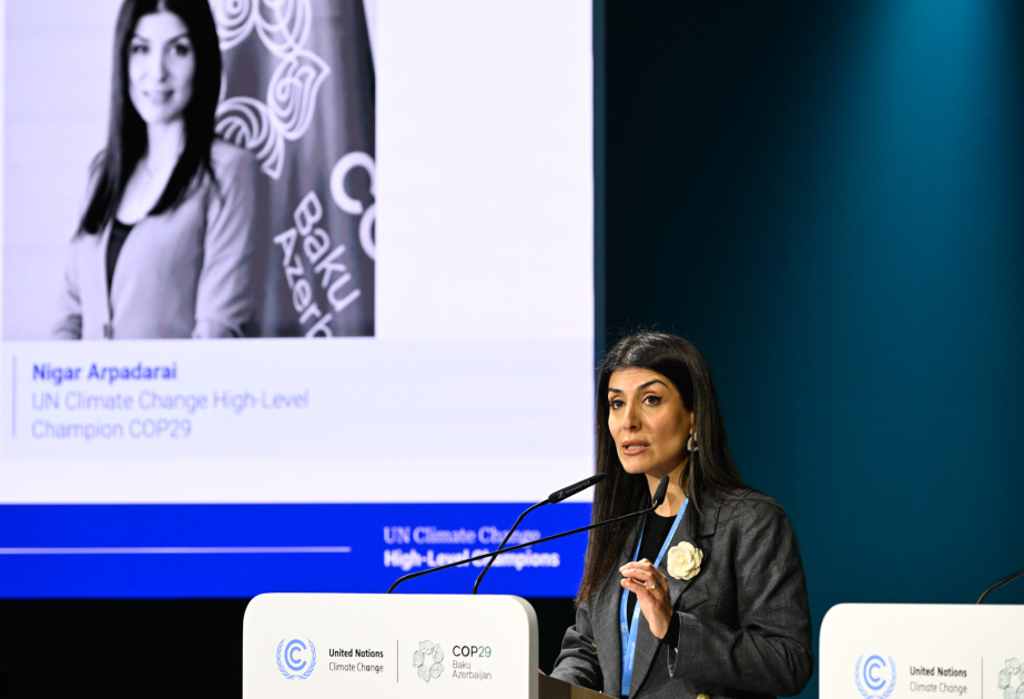 COP29-da yaşıl bacarıqlara dair yüksəksəviyyəli debat təşkil olunub VİDEO