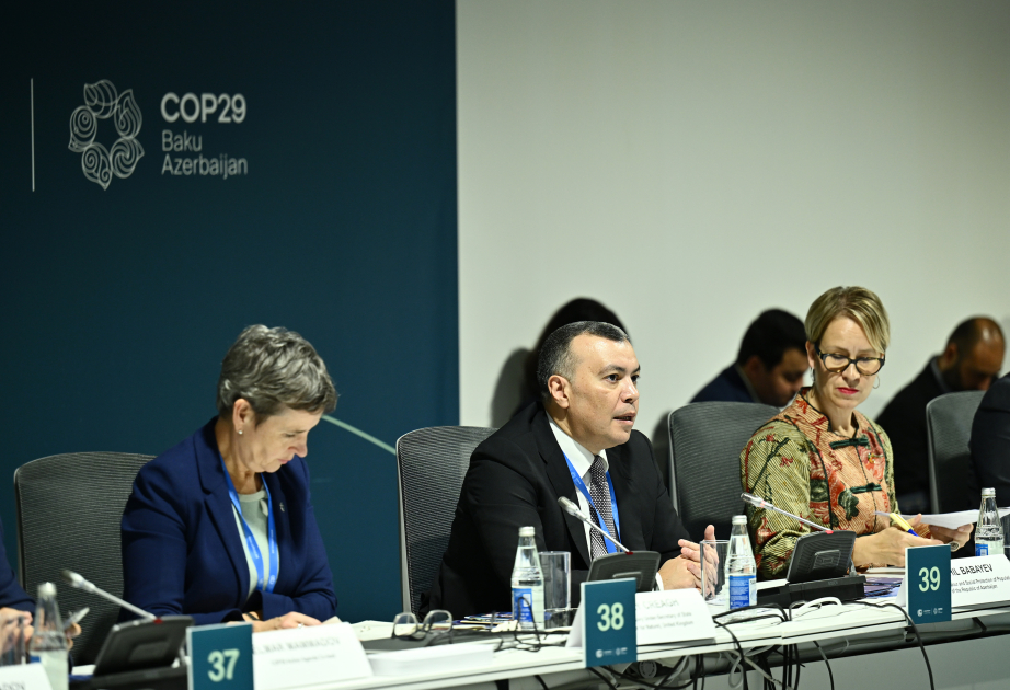 COP29: Обсуждены успешные практики, связанные с внедрением инновационных решений и развитием зеленых рабочих мест