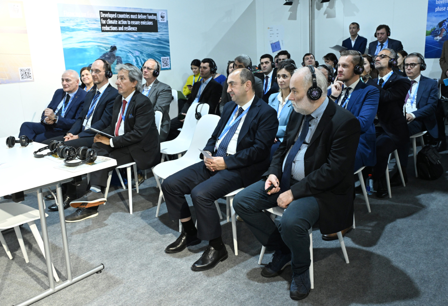 В рамках COP29 прошли дискуссии на тему «Два кризиса – одно решение: взаимосвязь биоразнообразия и климата в Кавказском регионе»