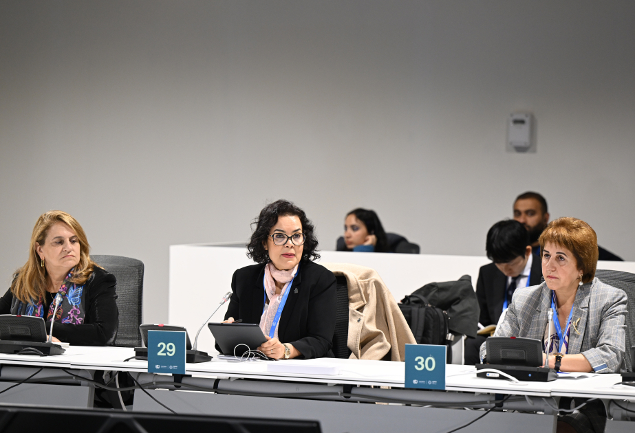 COP29-da aşağı emissiyalı ərzaq sistemlərinə transformasiyada elm və innovasiyanın rolu müzakirə edilib VİDEO