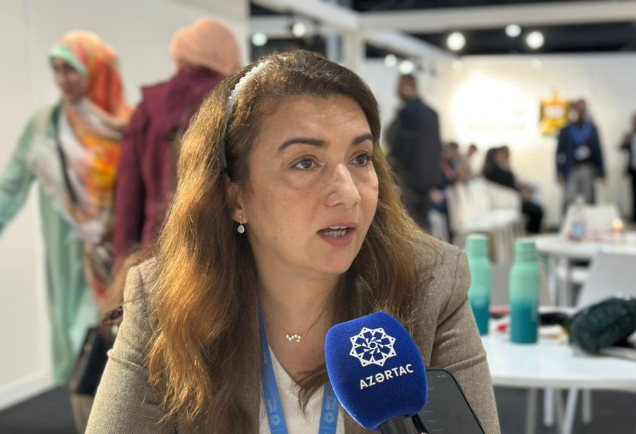 Professor: İraqda iqlim dəyişikliyi səbəbindən ekstremal hava şəraiti ilə üzləşirik