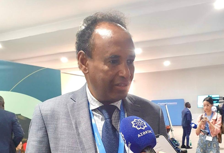 Somali nümayəndəsi: COP29 bütün dünyanı bir araya gətirərək, iqlim problemlərinin müzakirəsinə meydan açıb