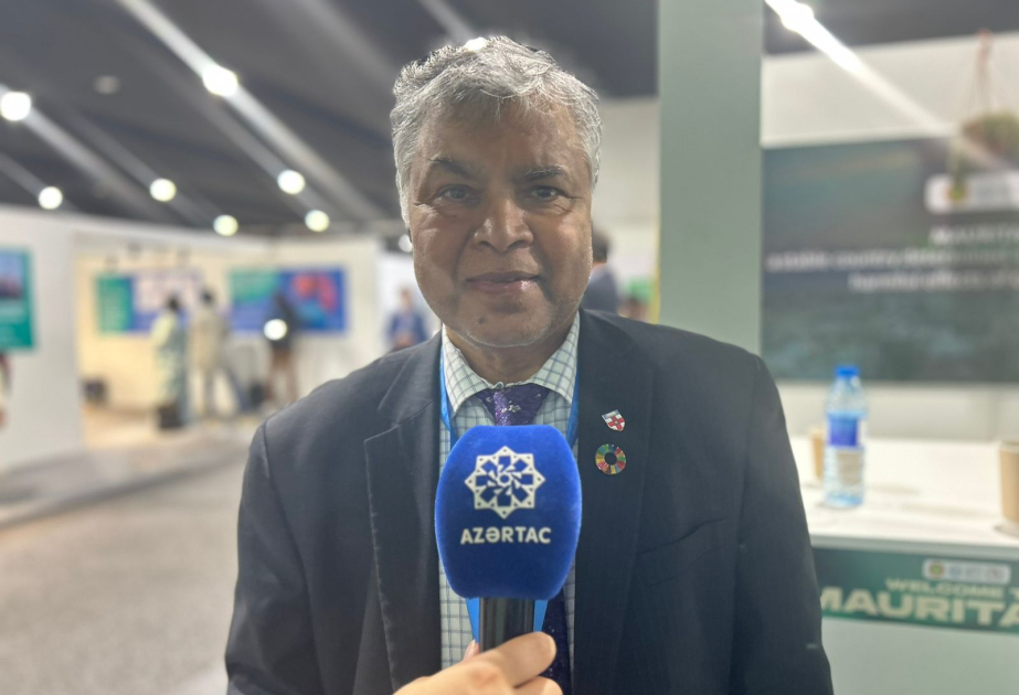 COP29 iştirakçısı: Enerji keçidinin açarı texnologiya, maliyyə və təfəkkürün dəyişməsidir