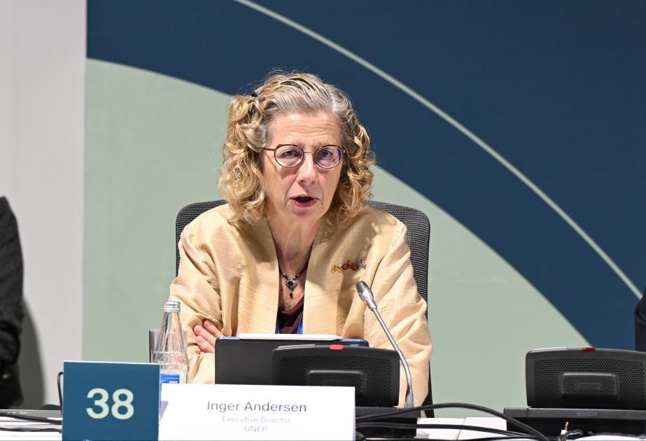 UNEP-nin icraçı direktoru: Qida israfının 85 faizini qlobal tullantılar təşkil edir