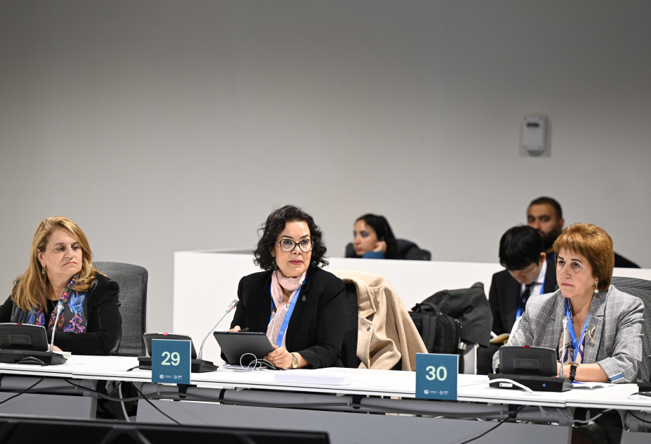 COP29 discusses “Science and Innovation for Low-Emission and Resilient Food Systems”