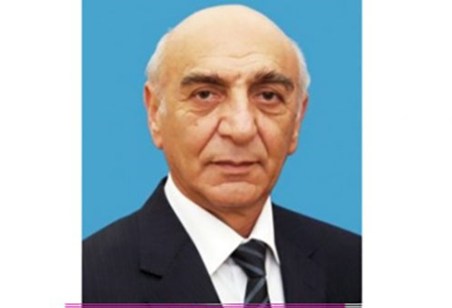 COP29 ekoloji problemlərin həlli və yaşıl dünya naminə həmrəyliyə qlobal çağırışdır ŞƏRH