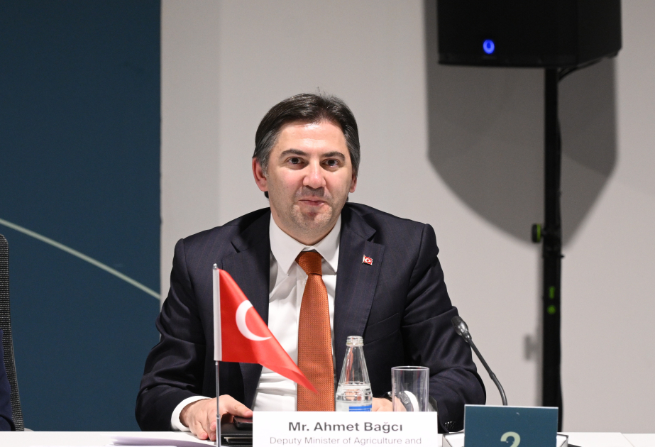 Türkiyə rəsmisi COP29-da kənd təsərrüfatının inkişafı strategiyasını və fəaliyyət planını təqdim edib