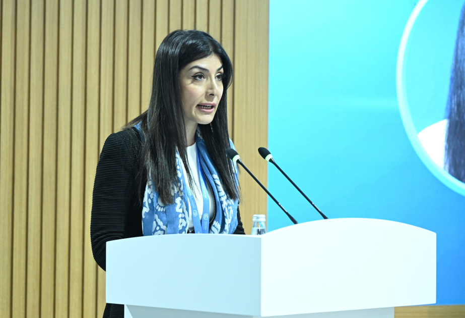 Nigar Arpadarai: COP29 bizim üçün davamlı gələcəyə doğru kursu təyin etmək üçün mühüm fürsətdir