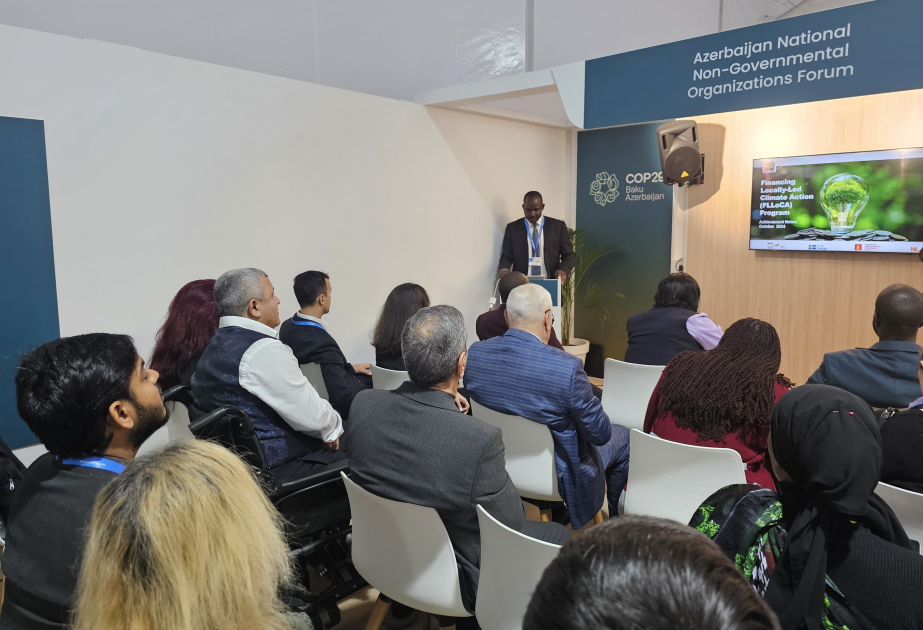 African NGOs briefed on financial support allocated by Agency for State Support to NGOs for public associations