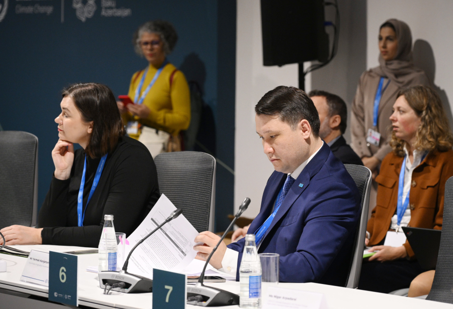 Nazir müavini: COP29 dayanıqlı kənd təsərrüfatının inkişafında Qazaxıstan üçün əhəmiyyətli mərhələ oldu