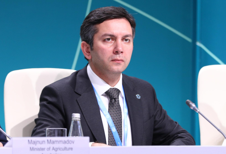 Azərbaycan ölkələri 2025-ci ilə qədər öz Milli Uyğunlaşma Planlarını təqdim etməyə çağırıb VİDEO