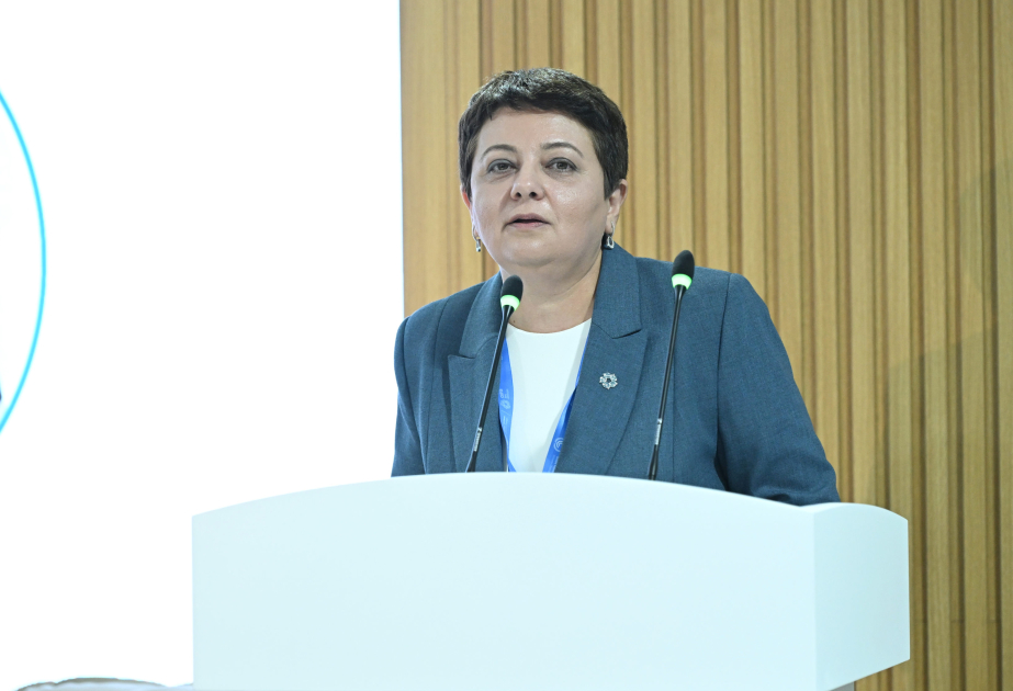 AQTA-nın sədr müavini: “Vahid Sağlamlıq” konsepsiyası xüsusi aktuallıq kəsb edir