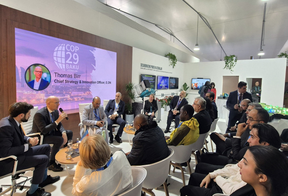 COP29 features panel discussion on zero emission electricity and carbon credit market