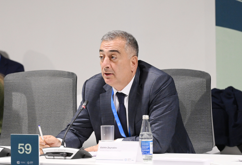 Nazir müavini: Fermerlərin iqlim dəyişikliklərinə uyğunlaşması üçün dəstəyə ehtiyacı var