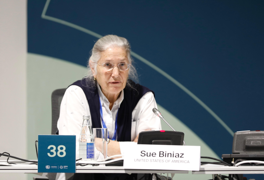 Sue Biniaz: Milli Uyğunlaşma Planı qlobal uyğunlaşma səylərinin təməl daşına çevrilib