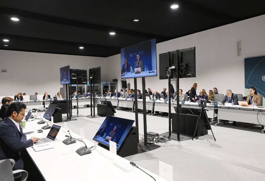 COP29 çərçivəsində “Aqroərzaq sisteminin transformasiyasının maliyyələşdirilməsi” mövzusunda panel müzakirə keçirilib