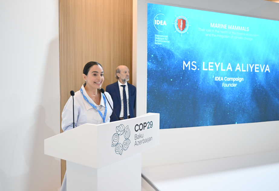 Leyla Əliyeva COP29 çərçivəsində dəniz canlılarına dair panel müzakirələrində iştirak edib