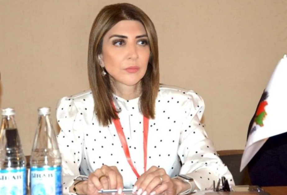 “İtkin düşmüş şəxslər” adlı qətnamənin qəbulu Ermənistanın işğalçı mahiyyətini açır  ŞƏRH