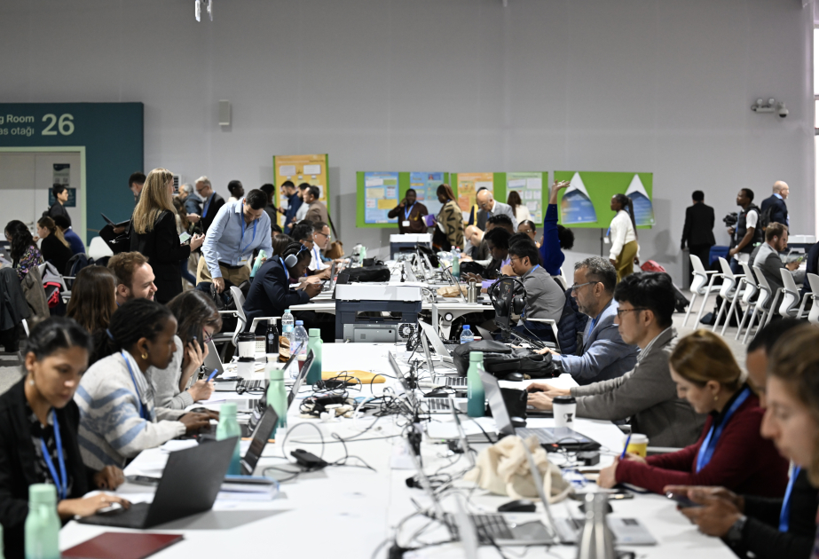 Representantes de los medios de comunicación que captaron momentos inolvidables a en la COP29