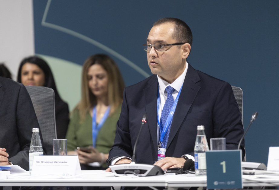 COP29 çərçivəsində “İqlimə dayanıqlı kənd təsərrüfatı təcrübələrinin inkişafı üzrə yüksəksəviyyəli nazirlərin görüşü” keçirilib VİDEO