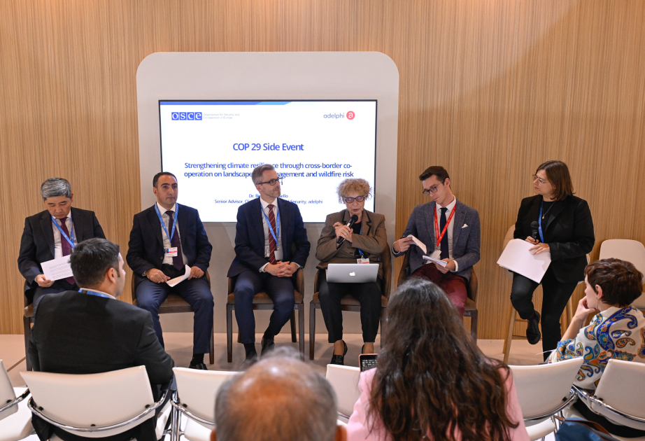 En la COP29 se debatió sobre la reducción del riesgo de incendios forestales