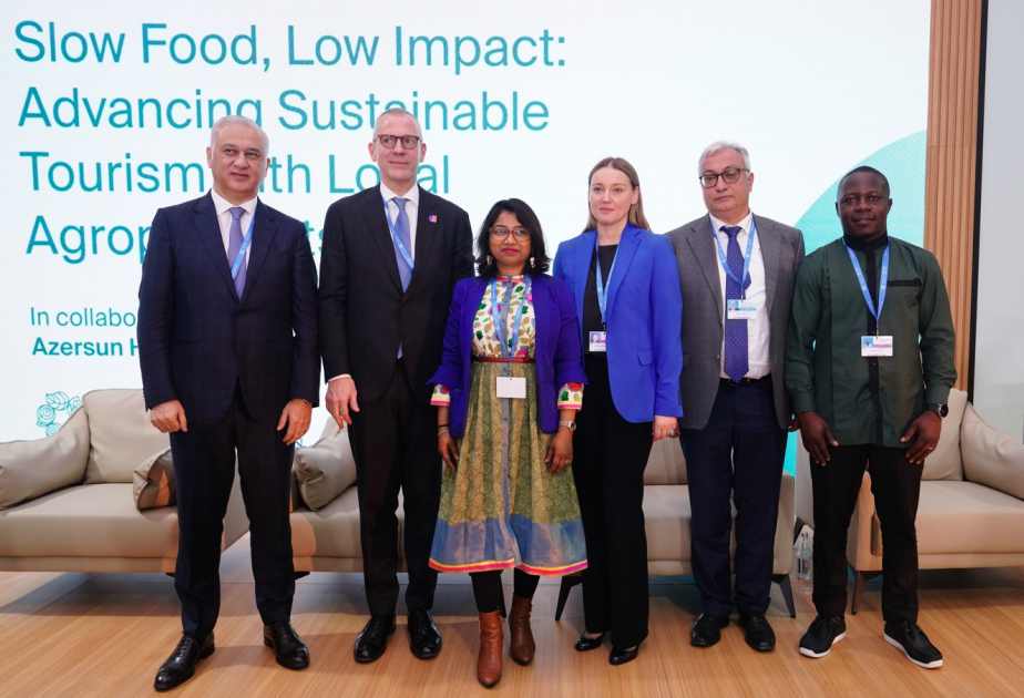 Session on advancing sustainable tourism held at COP29 Green Zone