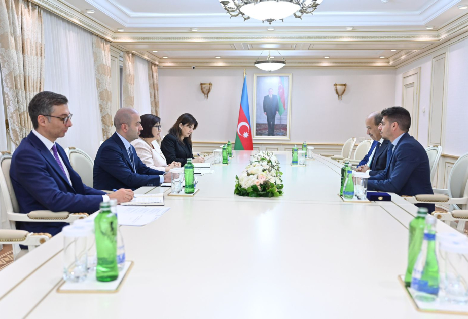 Aralıq dənizi Parlament Assambleyasının prezidentinə Azərbaycanın yaşıl enerji layihələri barədə məlumat verilib