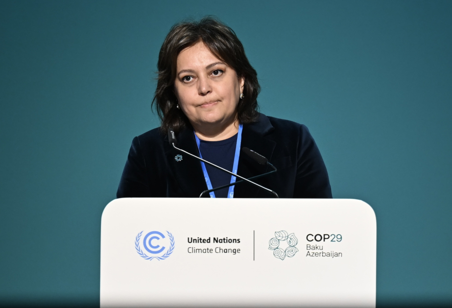 Umayra Tağıyeva: COP29 Sədrliyinin yaratdığı su üzrə Bakı dialoqu dayanaqlı gələcəyimiz üçün çox faydalı olacaq